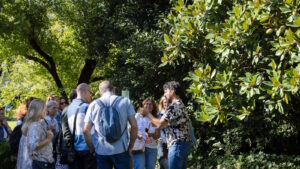 Gulbenkian Descobrir — Encontro com professores