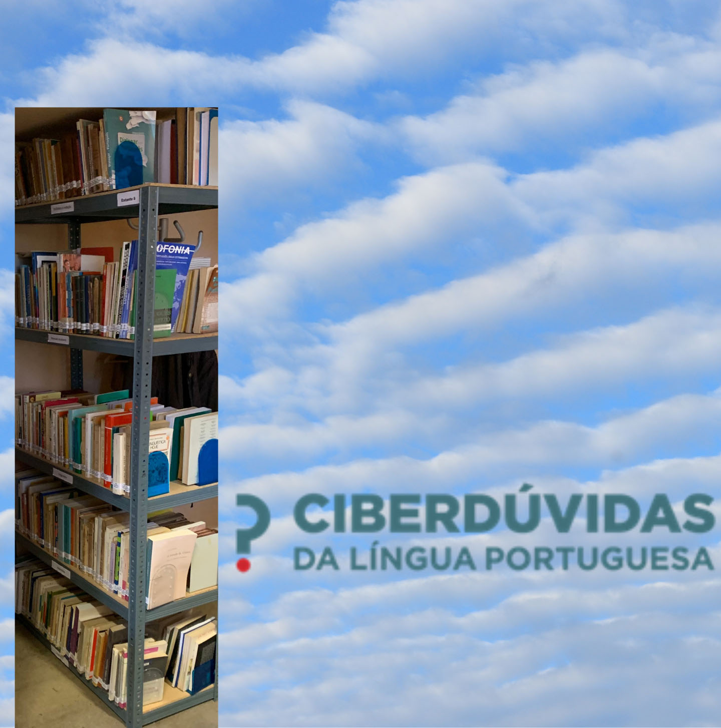 Ciberdúvidas da Língua Portuguesa (uma reflexão de Margarita Correia)